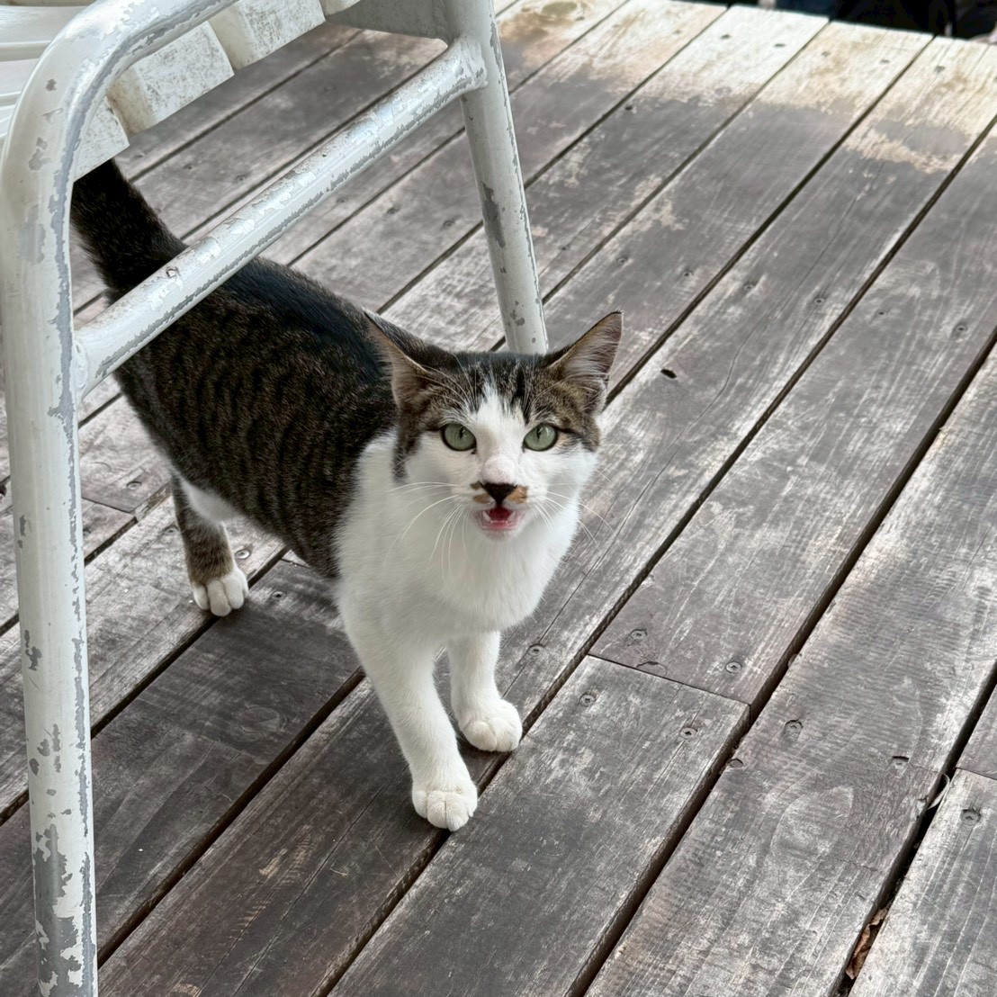 みんなでリフレッシュ♨️ 心も体も癒された慰安旅行①